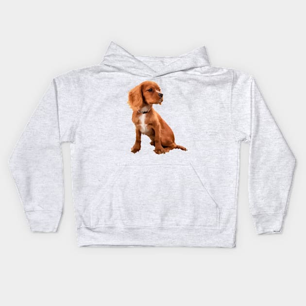 Findigo Cute Doggo Christmas Present Kids Hoodie by MarxMerch